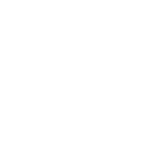 Limpieza Elean